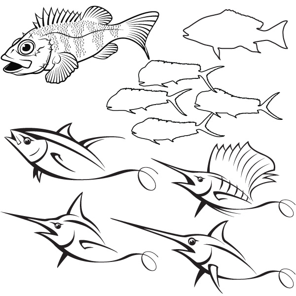 Fish Line Art Illustrations