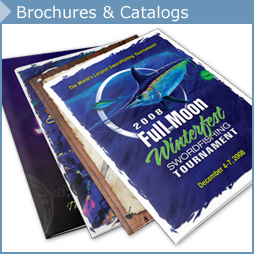 Brochures & Catalogs